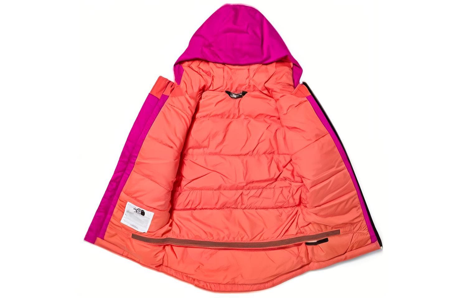 THE NORTH FACE Logo - изображение 3