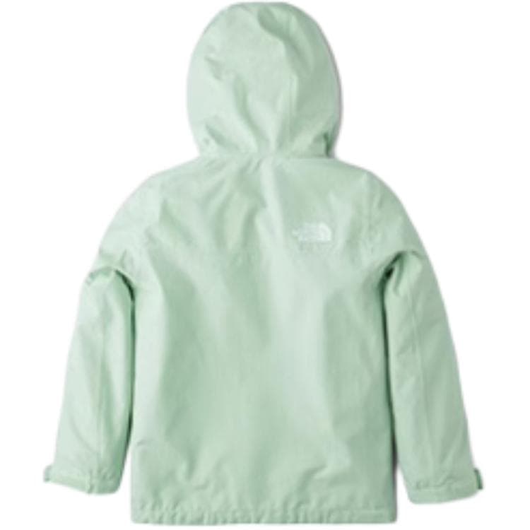 THE NORTH FACE Logo - изображение 2