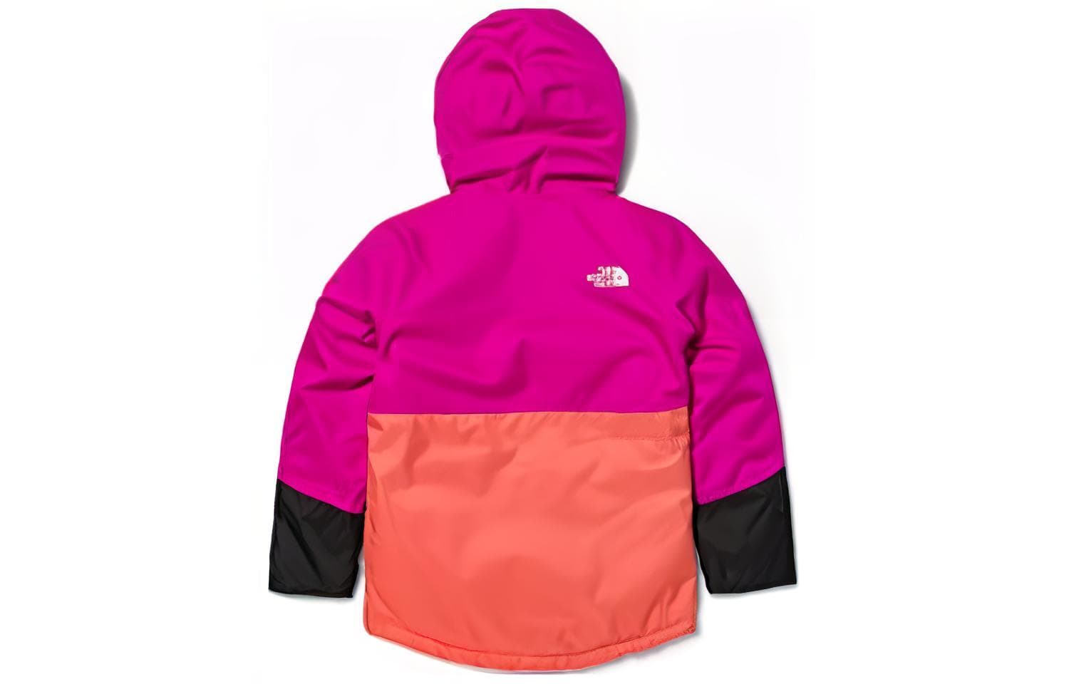 THE NORTH FACE Logo - изображение 2