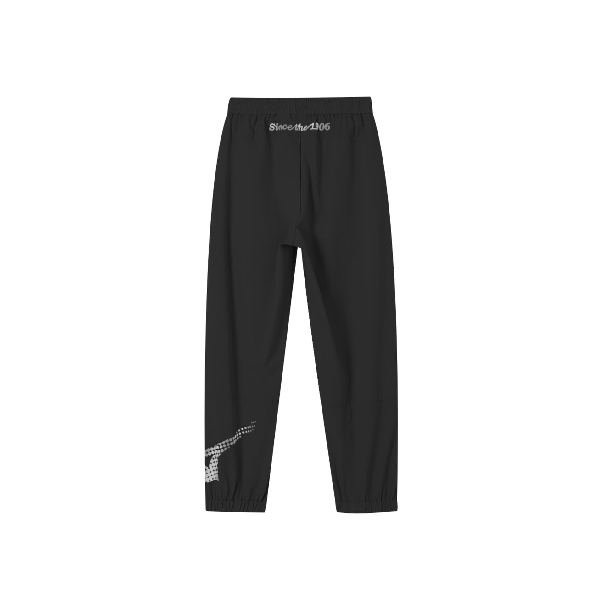 Mizuno - изображение 2
