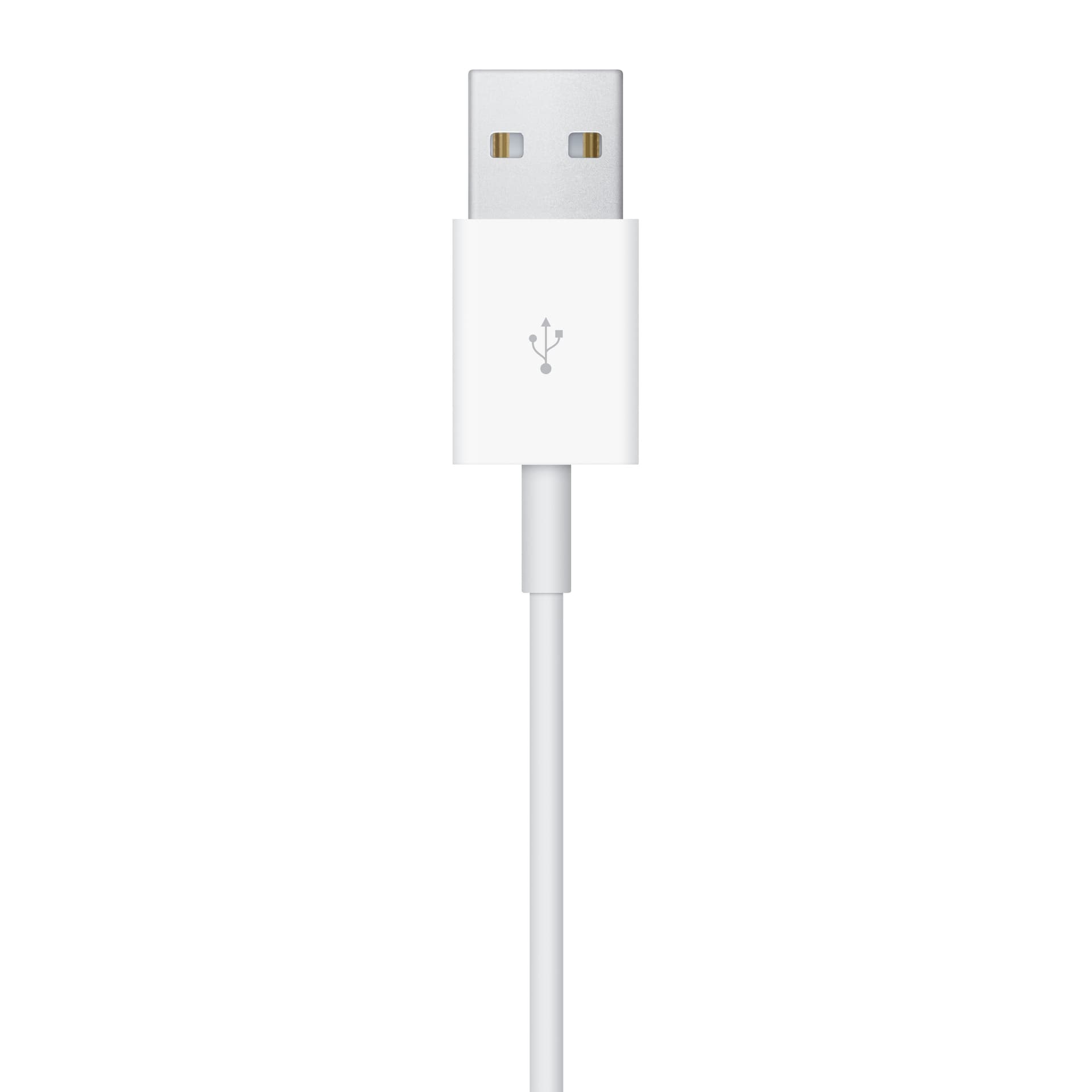 Apple Watch USB - изображение 4