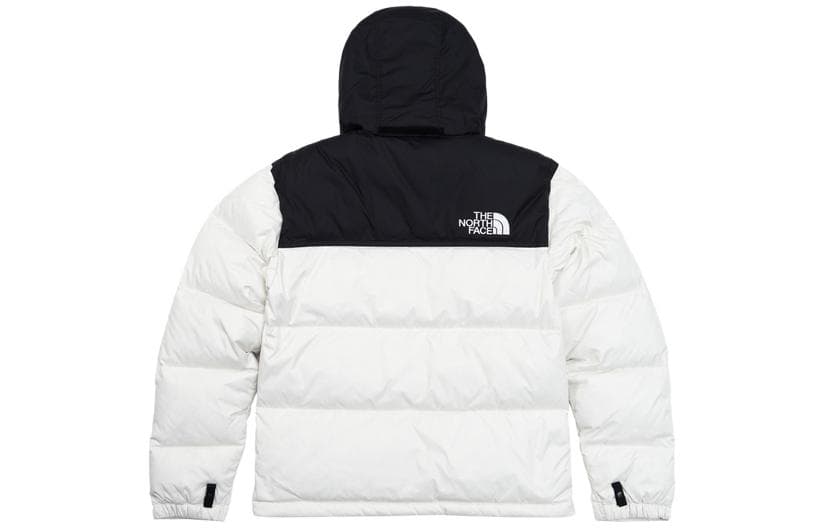 Пуховик THE NORTH FACE 1996Nuptse Logo - изображение 2