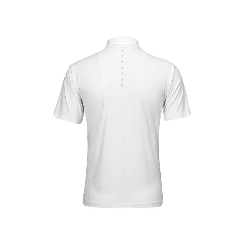 Kawasaki Polo - изображение 3