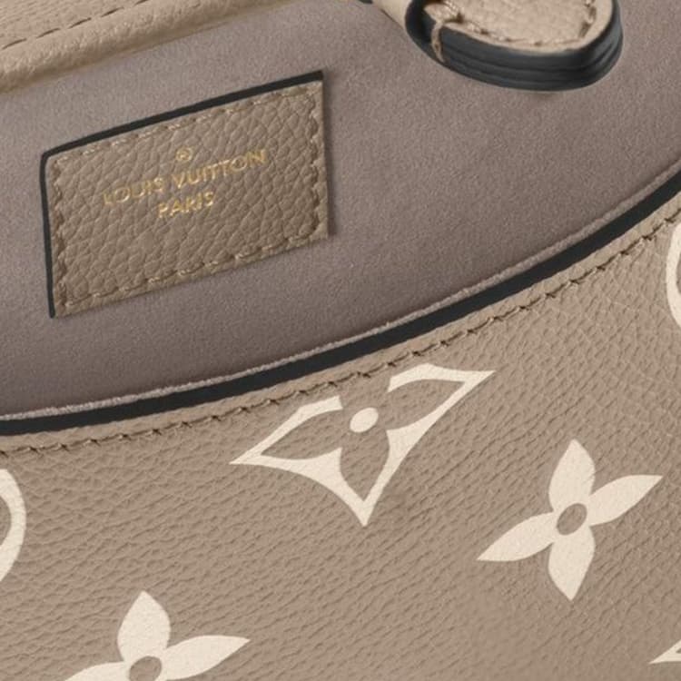 Сумка Louis Vuitton Diane Tourterelle Creme - изображение 5