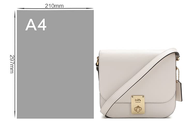 Мини-сумка COACH Hutton 20 - изображение 8