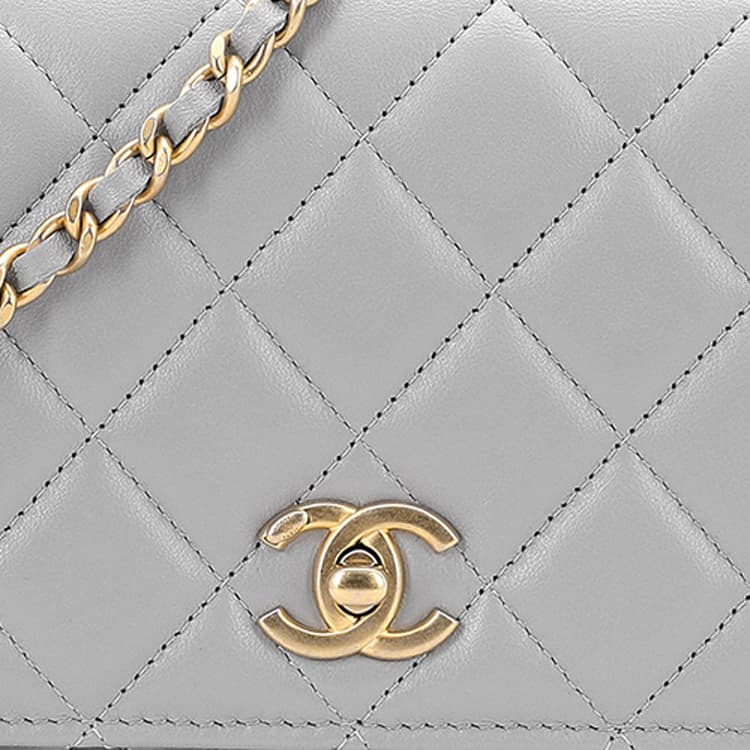 Сумка через плечо CHANEL Woc - изображение 5