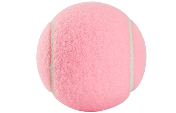 Wilson - изображение 5