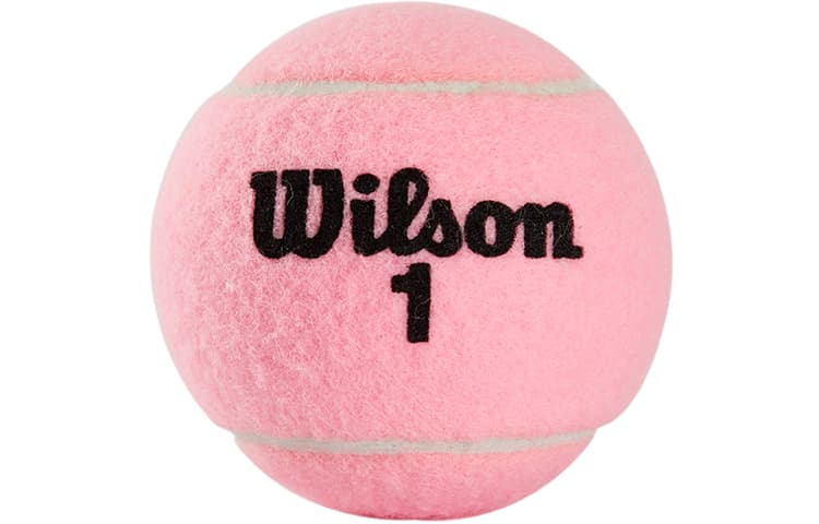 Wilson - изображение 4