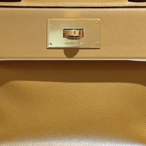 Сумка HERMES 2424 EvercolorSwift - изображение 5