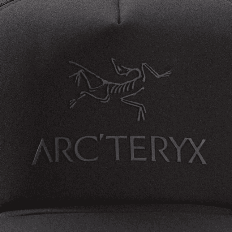 Кепка Arcteryx Logo - изображение 3