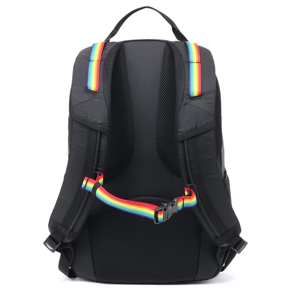 Рюкзак CHUMS 20L Springdale - изображение 3
