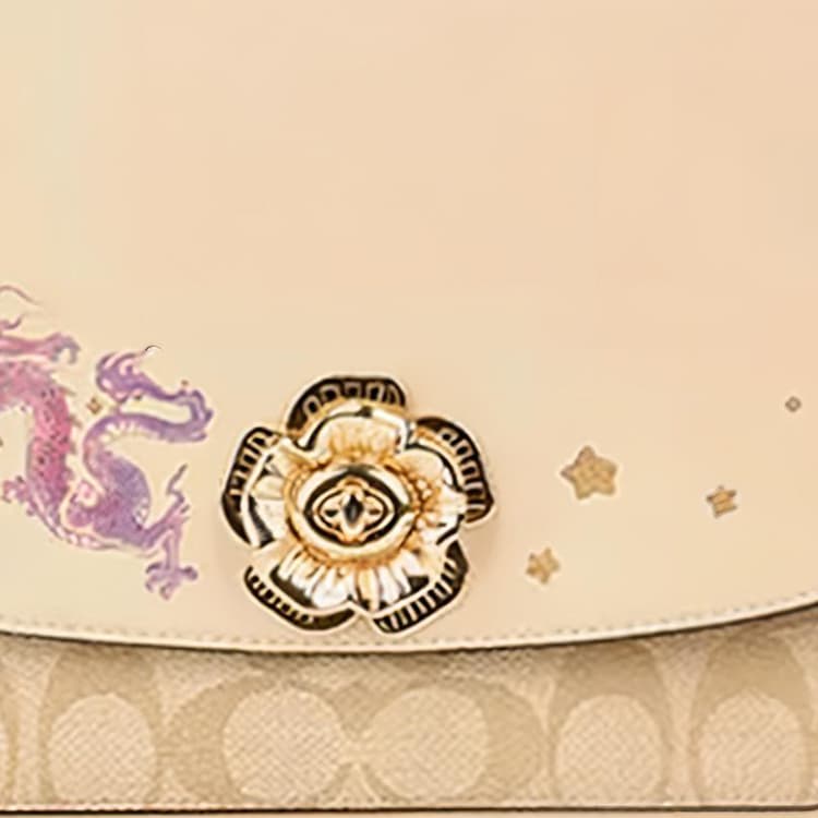 Мини-сумка COACH Madison 24 PVC - изображение 5