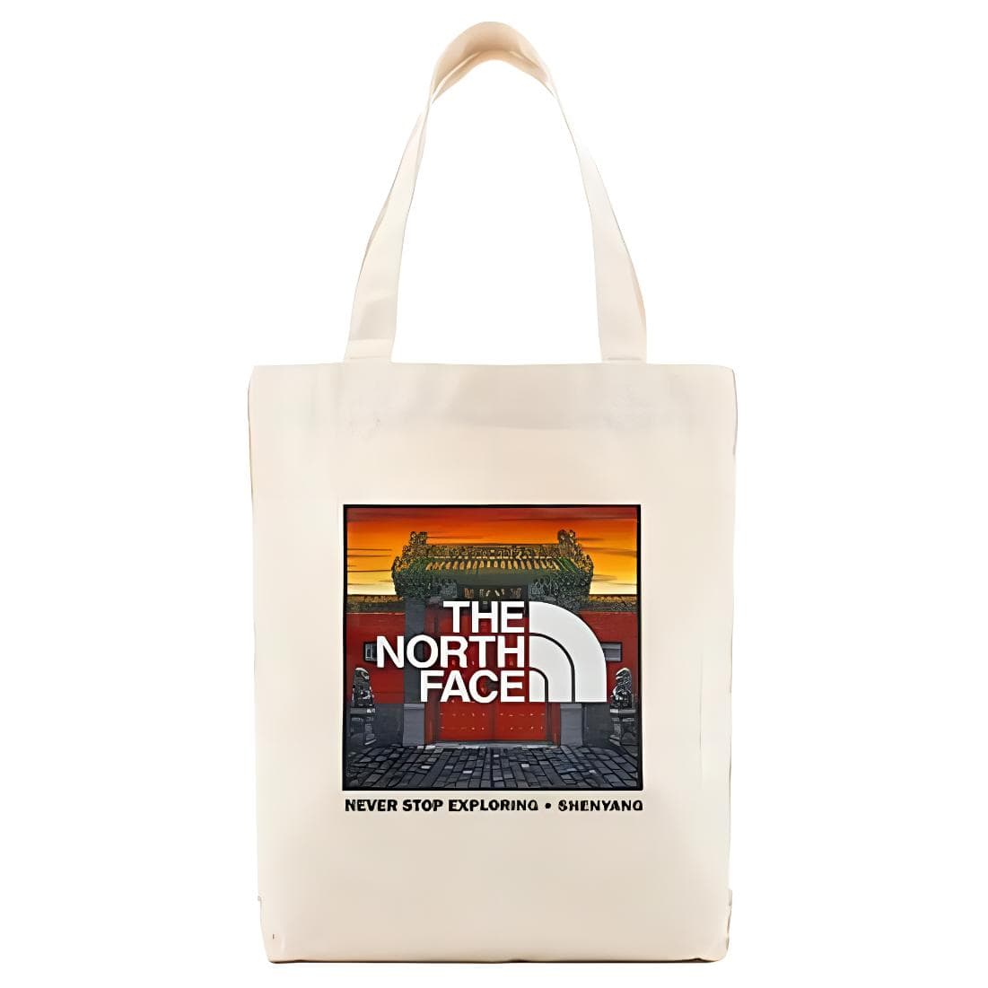 Мини-сумка THE NORTH FACE 12.5L Tote - изображение 1