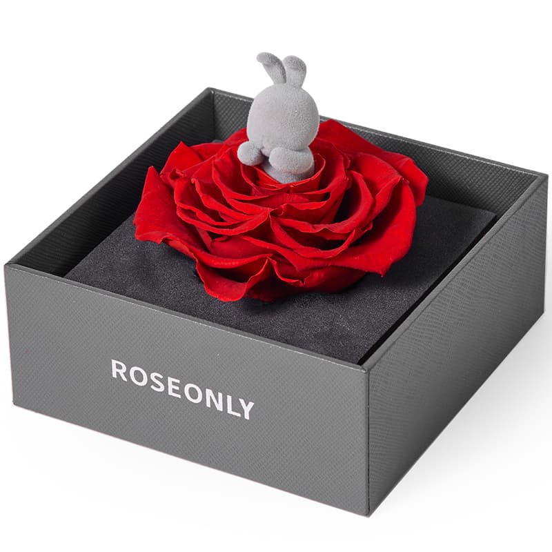 ROSEONLY - изображение 4