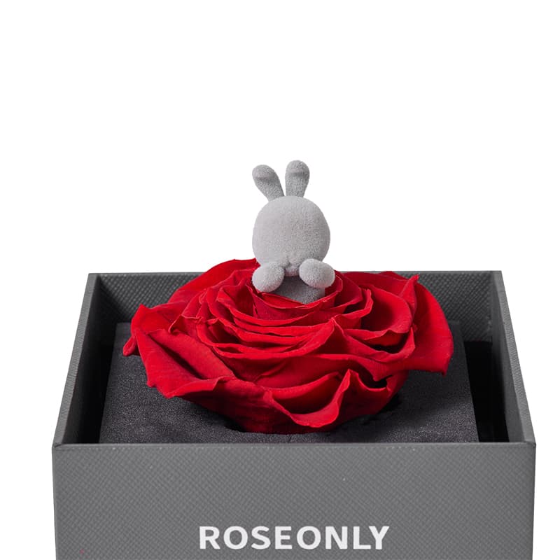 ROSEONLY - изображение 6
