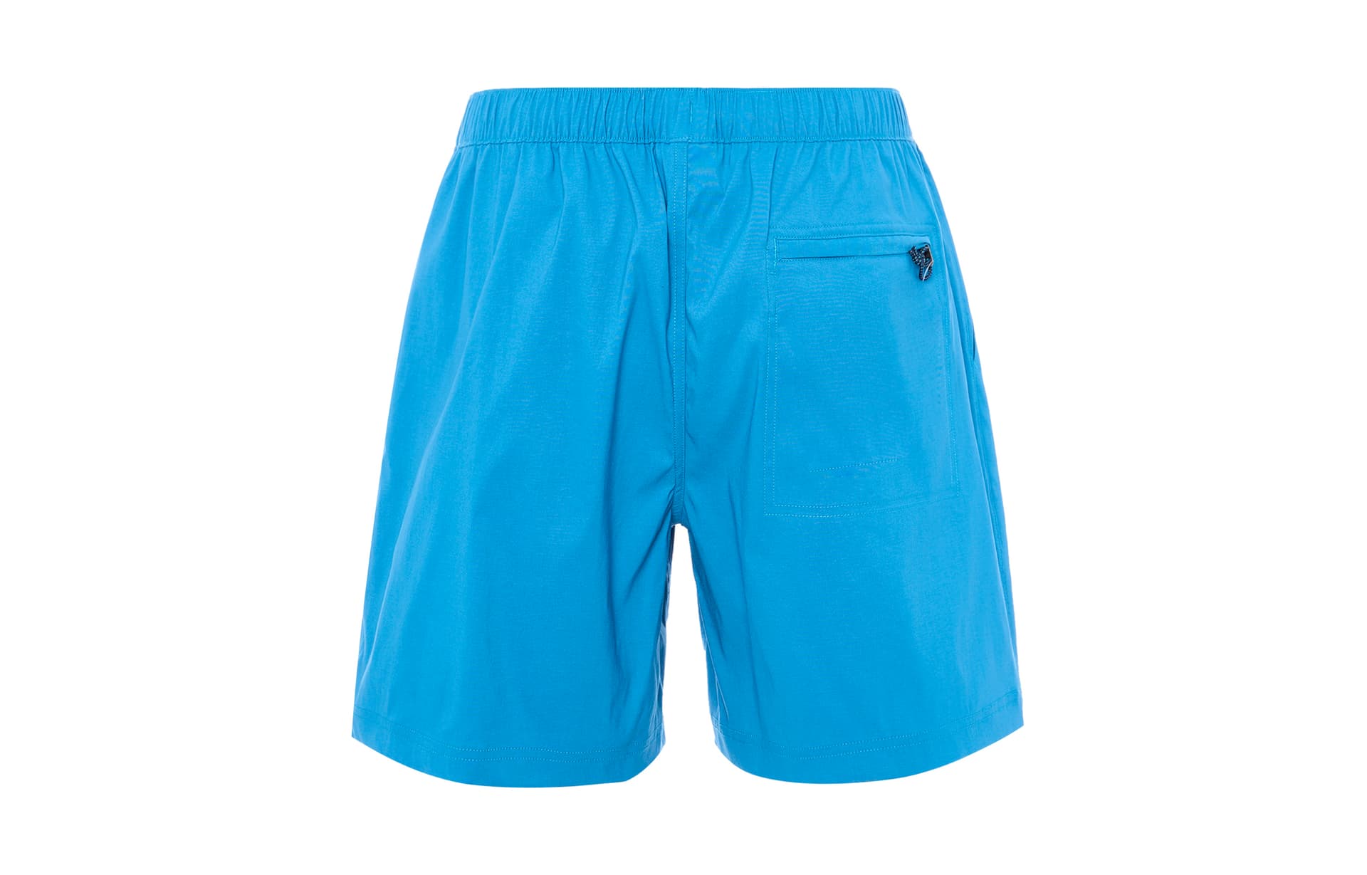 Шорты The North Face Logo Print Shorts Blue - изображение 2