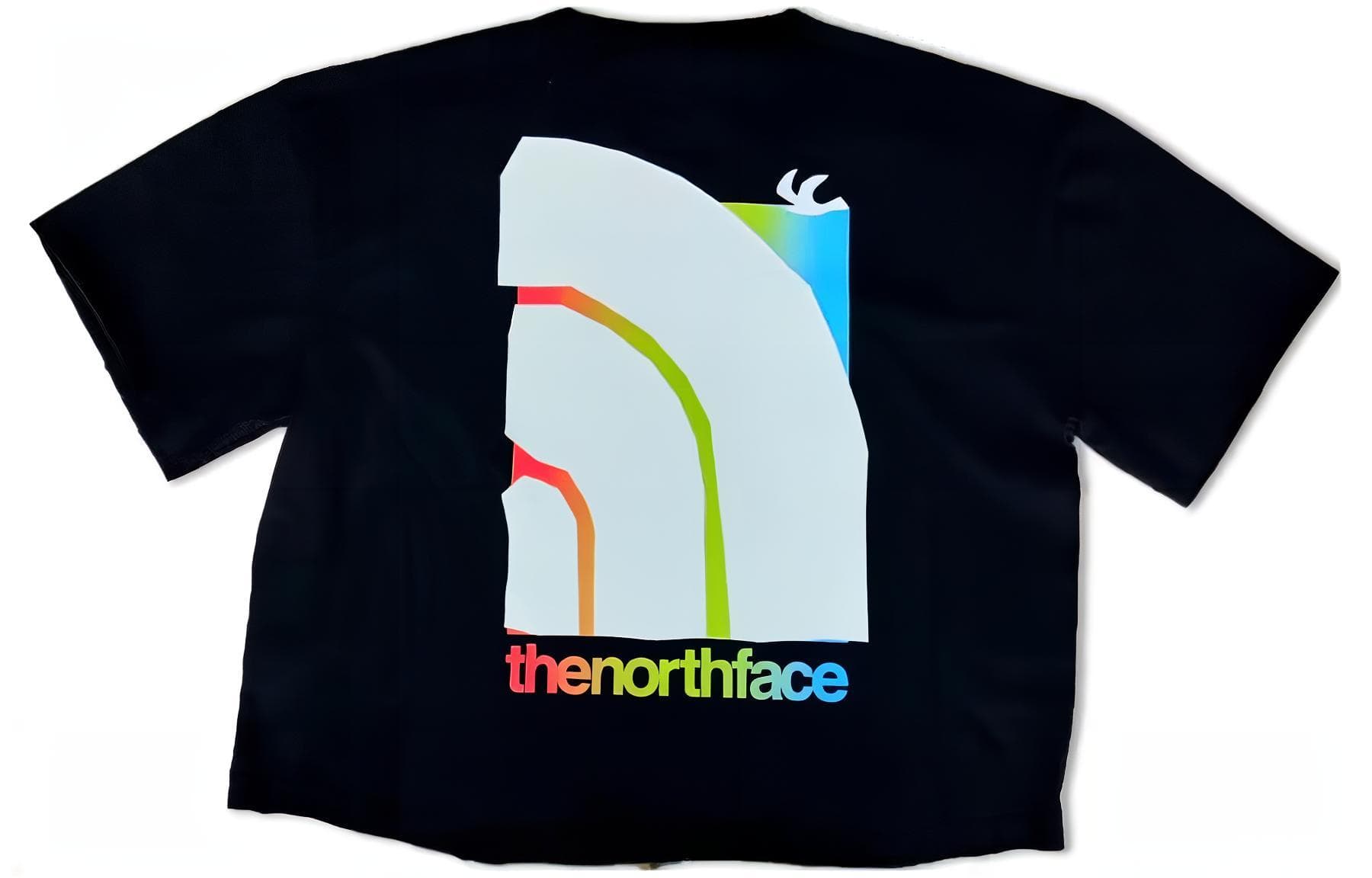 Футболка THE NORTH FACE logo T - изображение 2