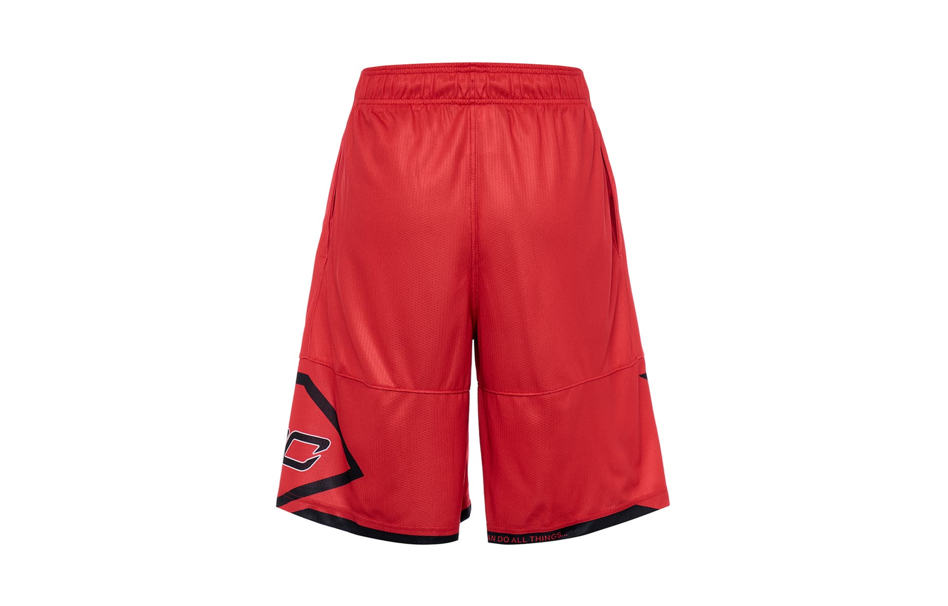 Баскетбольные шорты Under Armour Logo - изображение 3