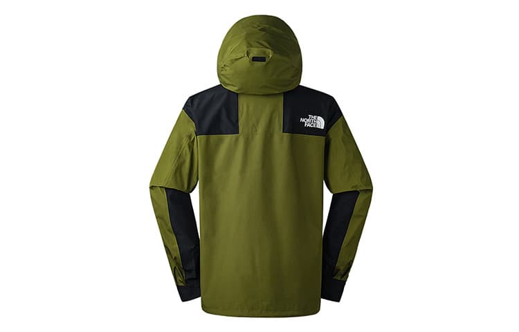 Демисезонная куртка THE NORTH FACE 1986FUTURELIGHTLogo - изображение 2