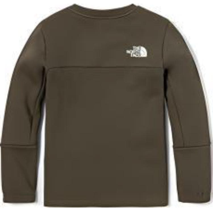 THE NORTH FACE Logo - изображение 2