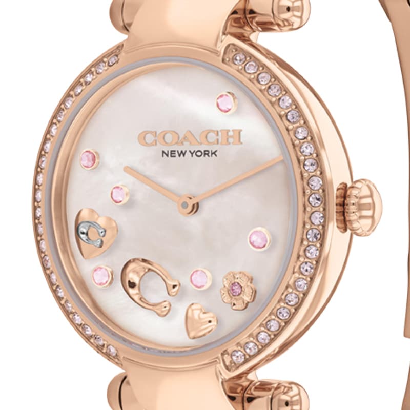Механические часы COACH CARY C 14504266 - изображение 3