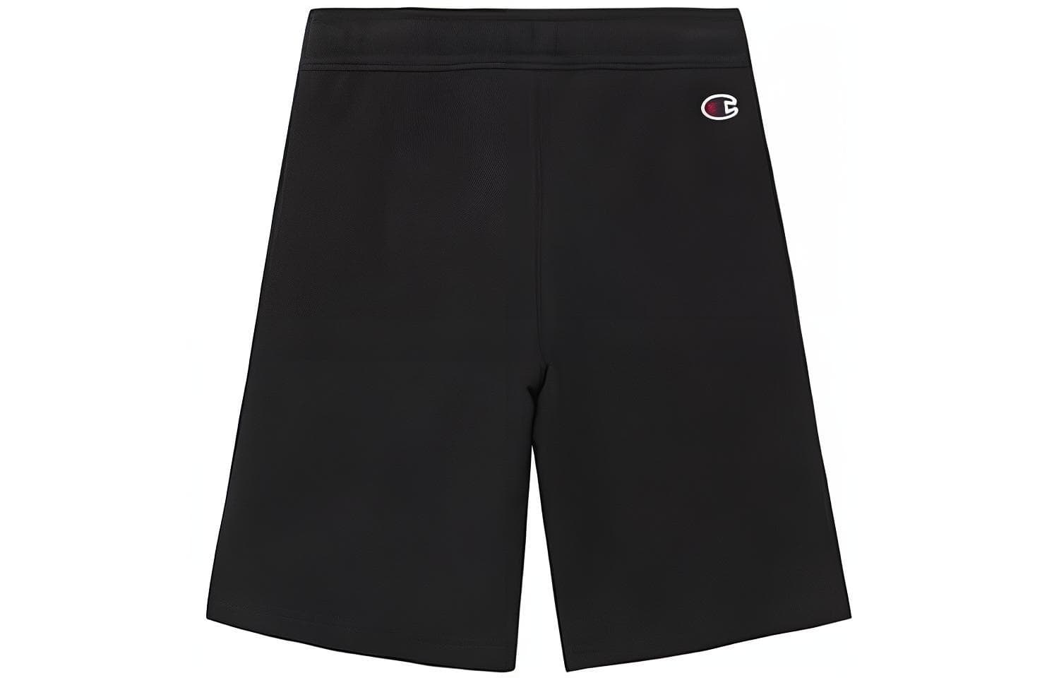 Champion Logo - изображение 2