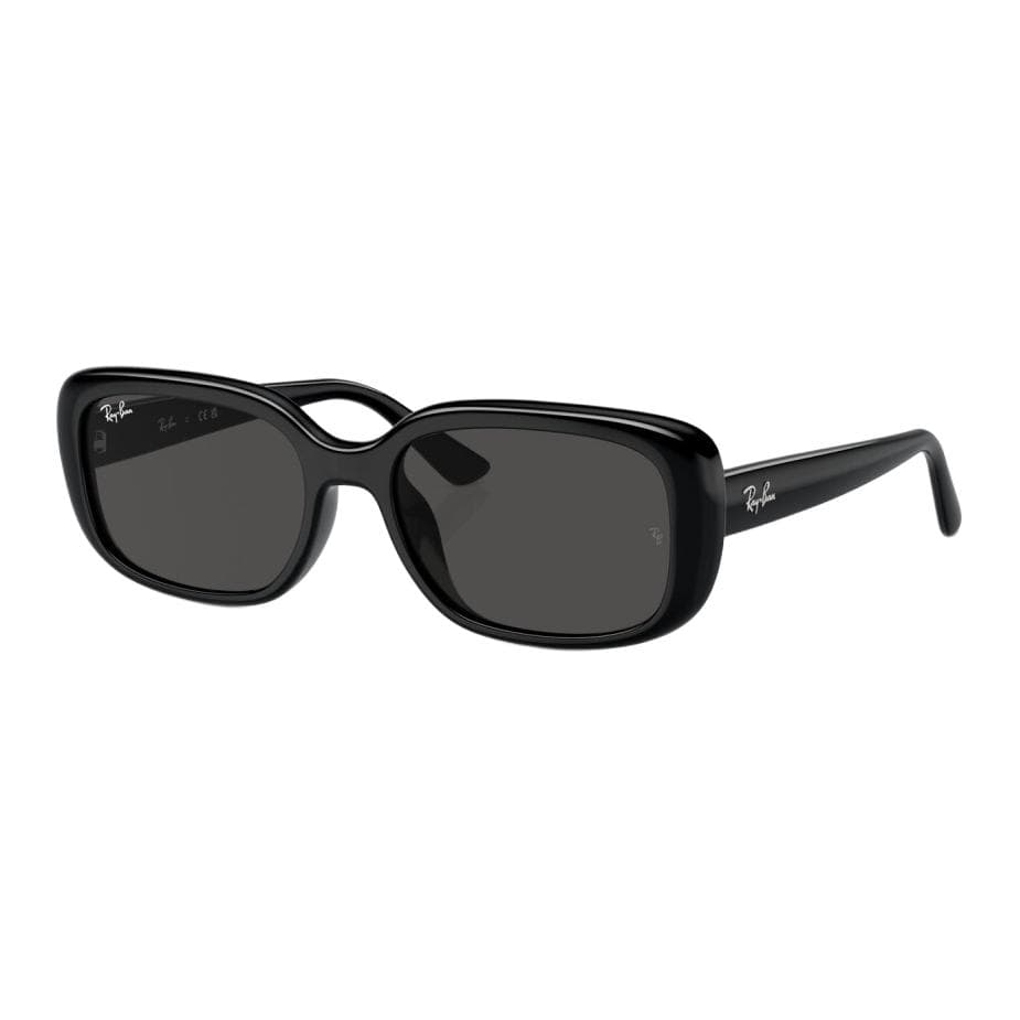 Солнцезащитные очки RayBan Logo - изображение 1