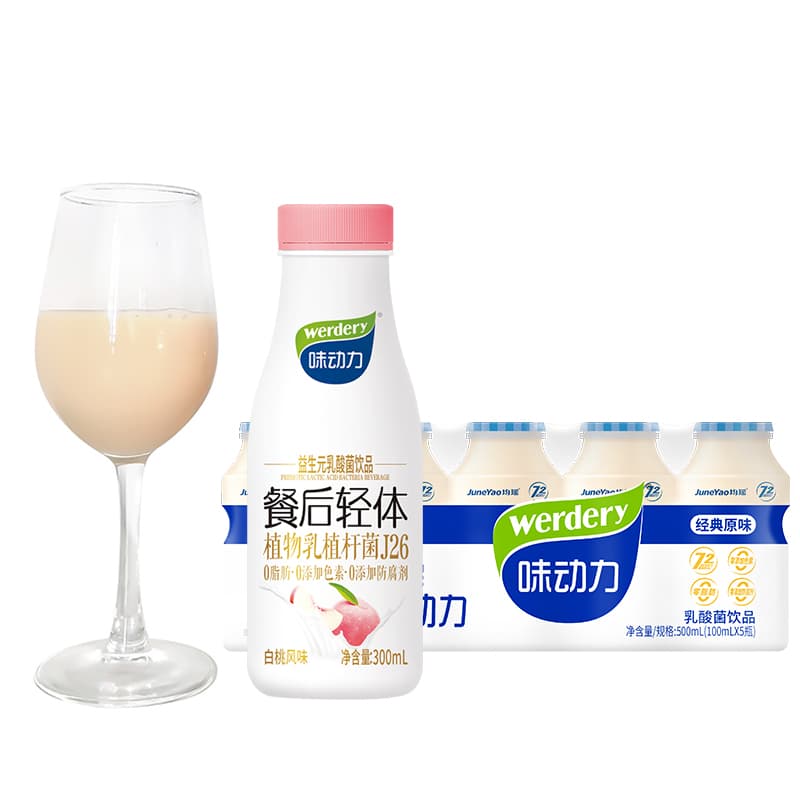 WERDERY 300*3100ml*5*3 00 - изображение 2