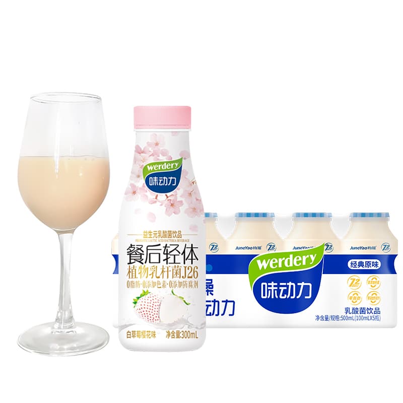 WERDERY 300*3100ml*5*3 00 - изображение 2