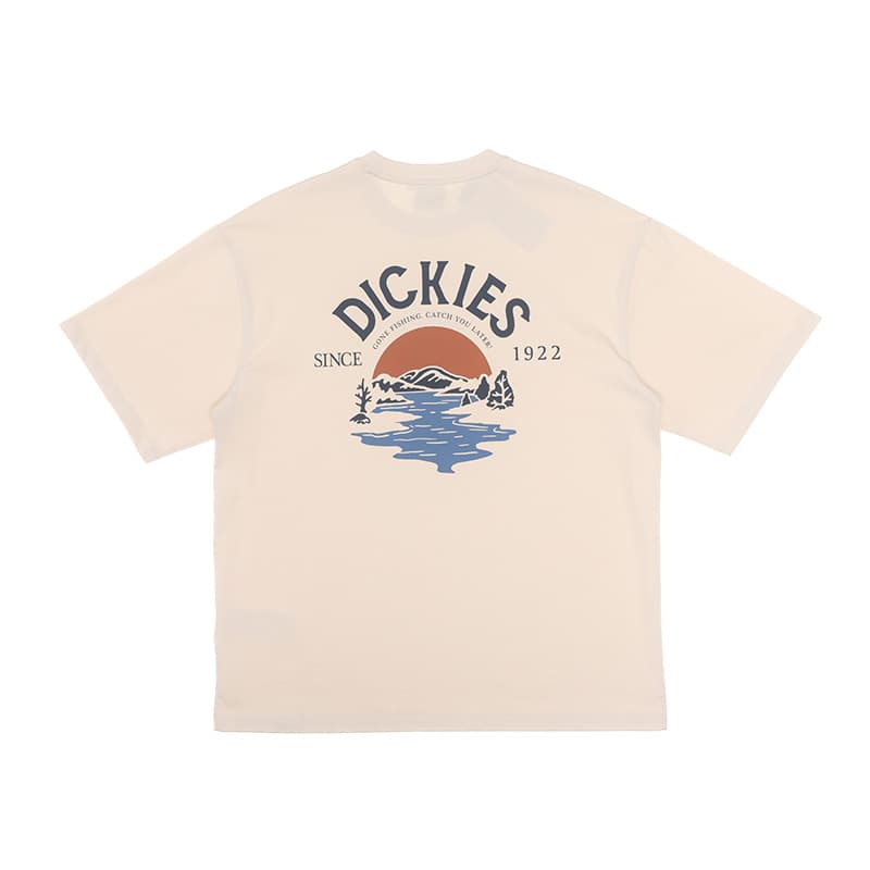 Футболка dickies T T - изображение 2