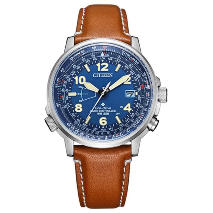 Часы CITIZEN CB0240-11L - изображение 1