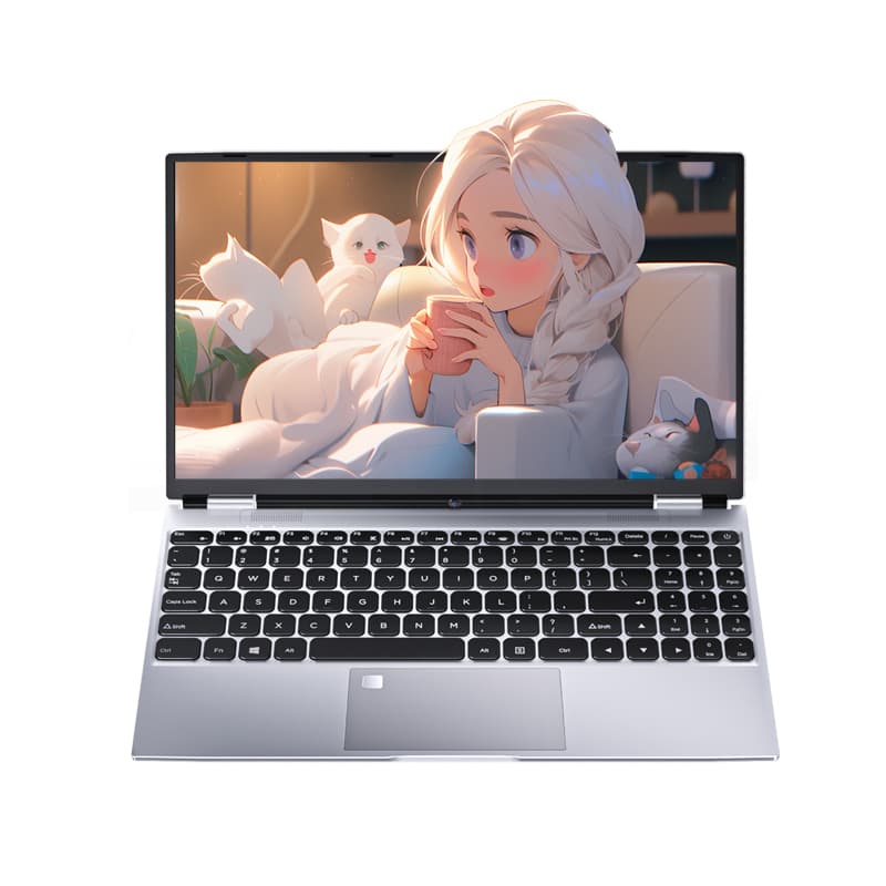 JDSK K1-625 13N95 15.6 - изображение 2