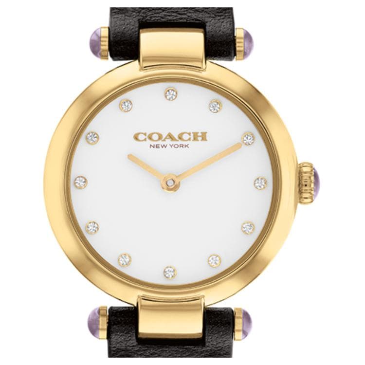 Механические часы COACHCARY 14504014 - изображение 4