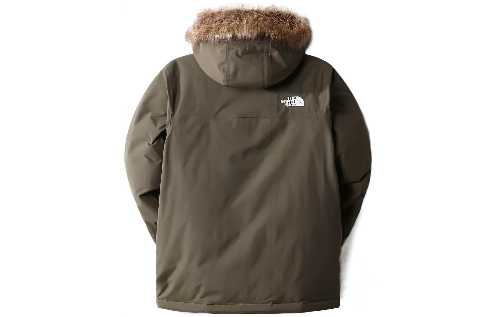 THE NORTH FACE Logo - изображение 2