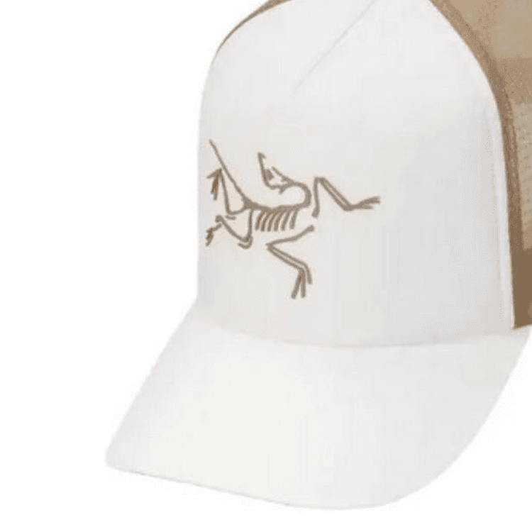 Кепка Arcteryx Logo Cap Brown - изображение 3