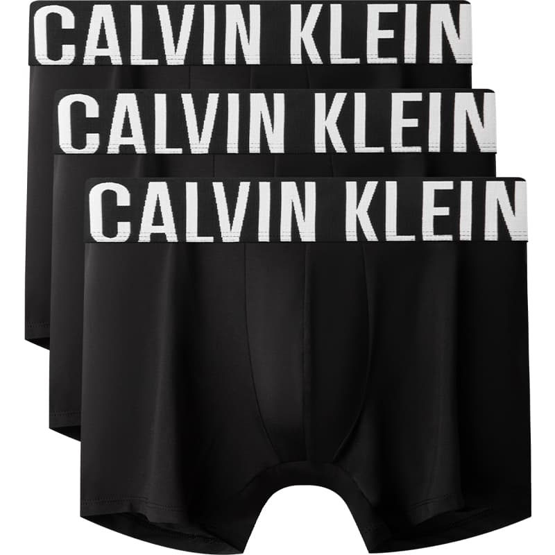 Трусы CALVIN KLEIN 3 - изображение 1