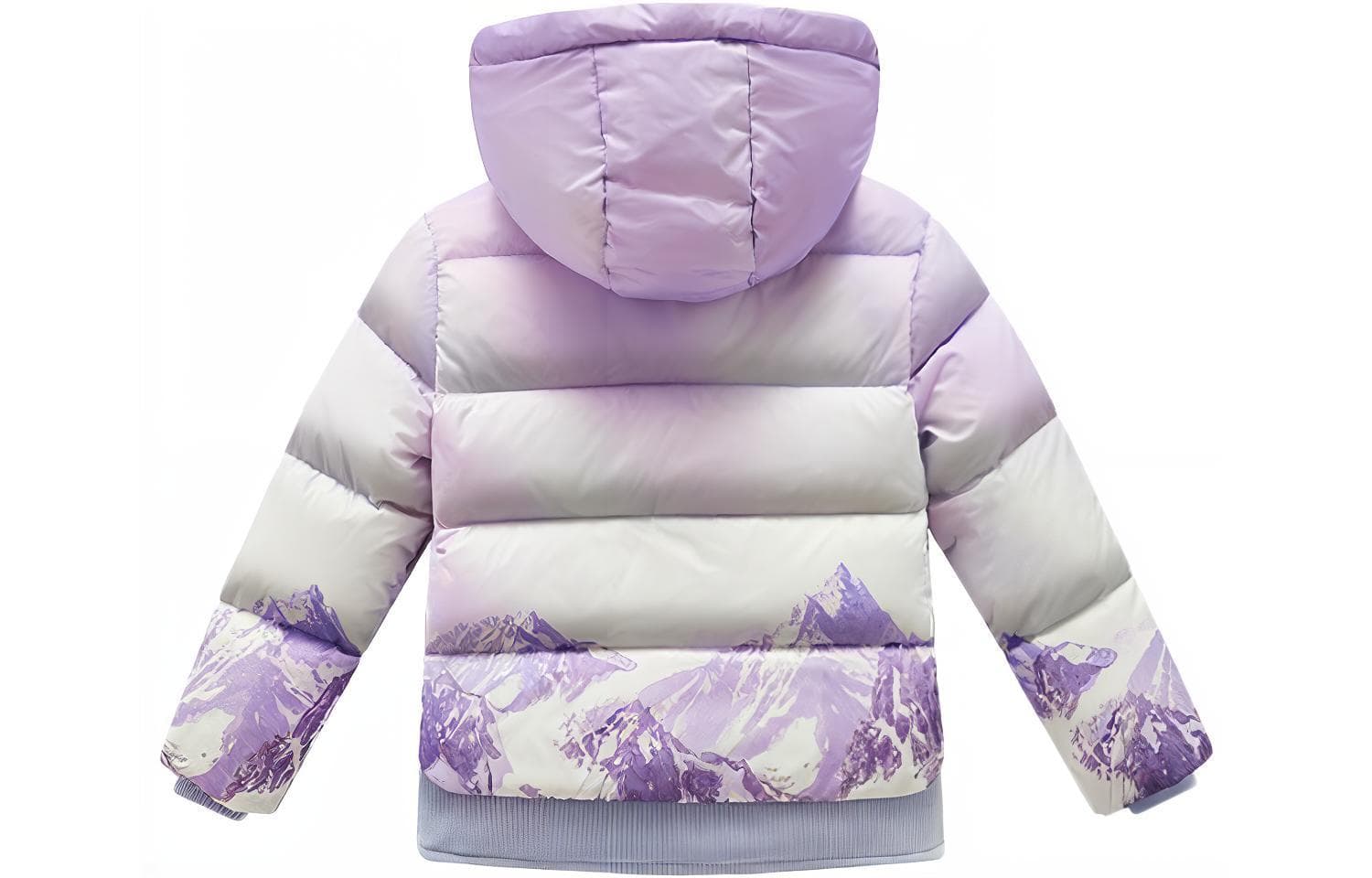 FILA - изображение 2