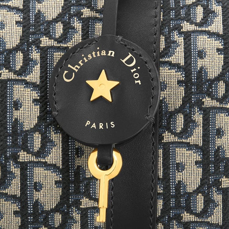 Сумка DIOR Groove 20 Oblique — фото 6