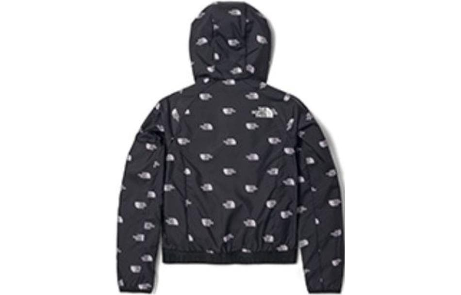 THE NORTH FACE Logo - изображение 2