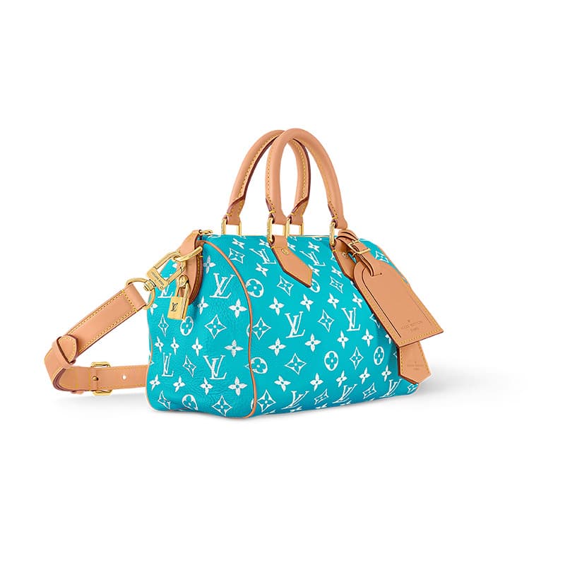 Сумка LOUIS VUITTON BandoulireSpeedy 25 - изображение 3