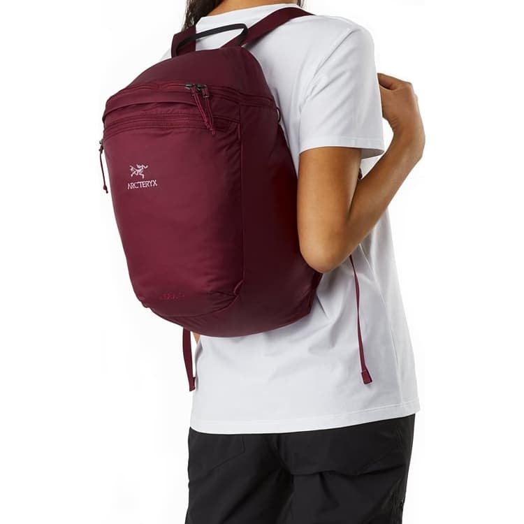 Рюкзак Arcteryx Index 15 - изображение 4