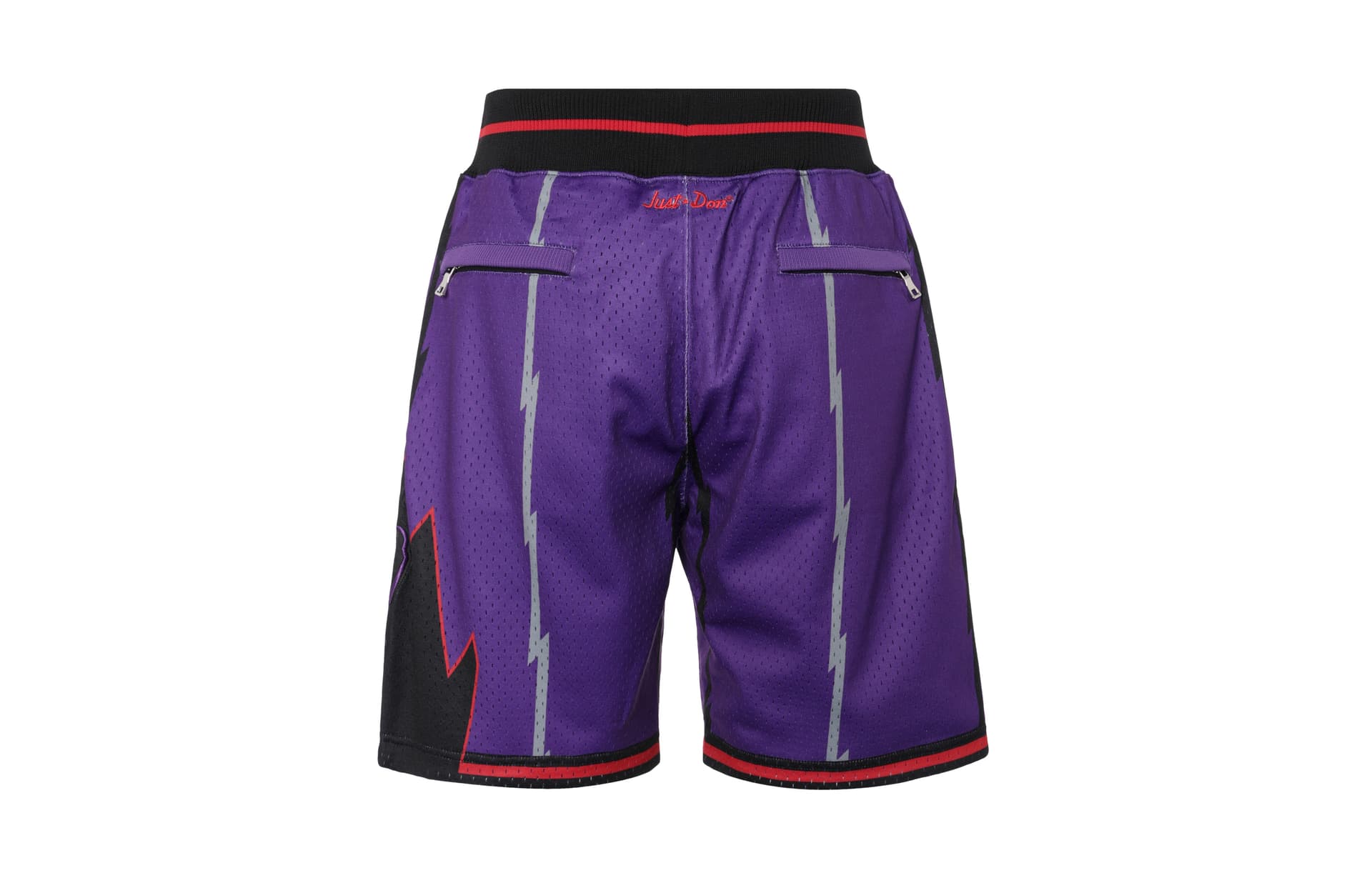 Баскетбольные шорты Mitchell&ness x Just Don Toronto Raptors Shorts - изображение 3
