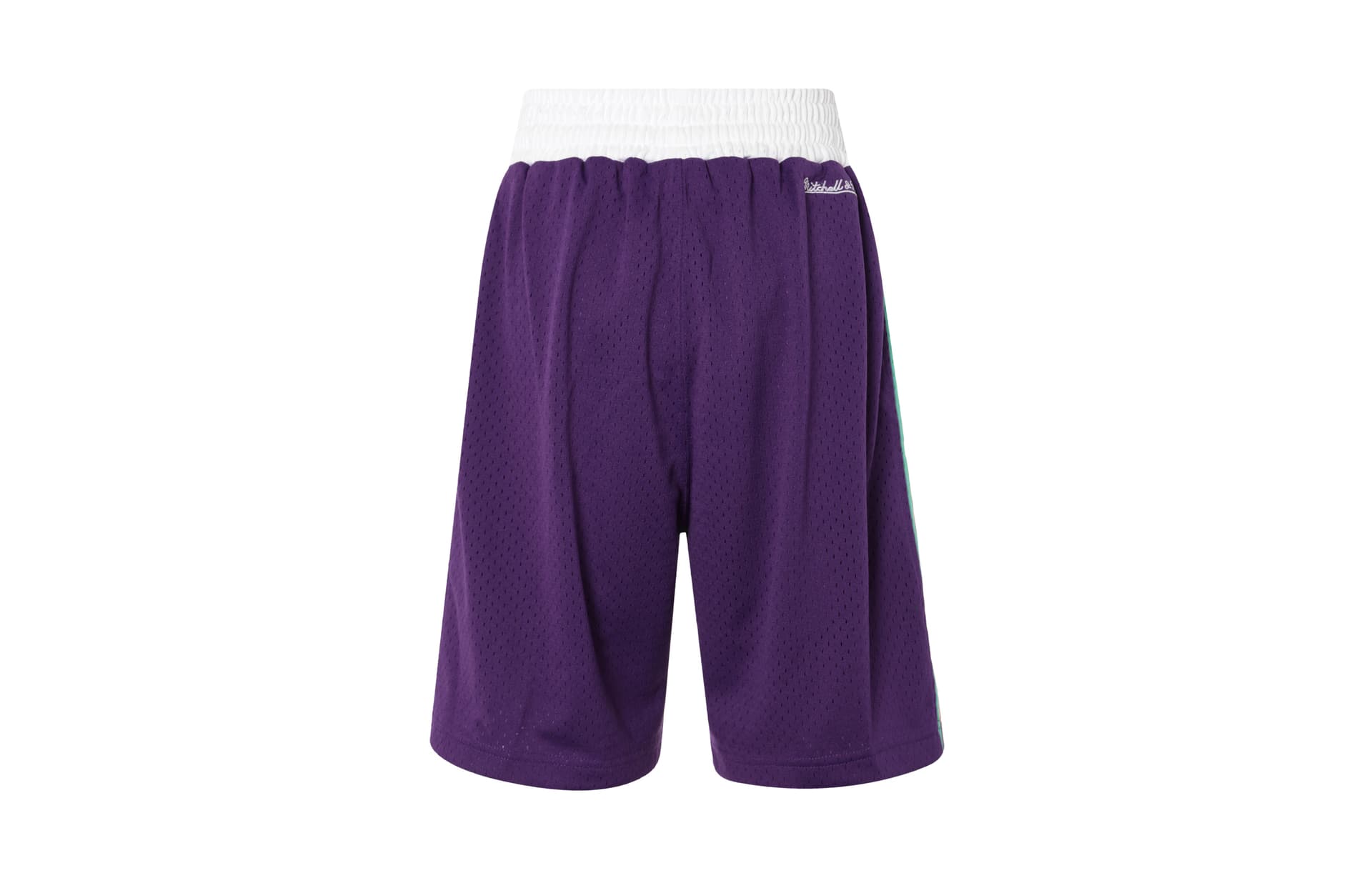 Баскетбольные шорты Mitchell Ness SW 95 - изображение 3
