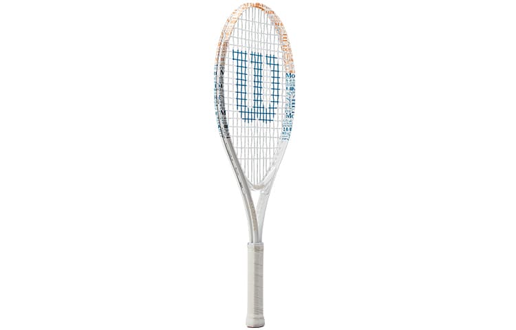 Wilson ROLAND GARROS ELITE 21 - изображение 2