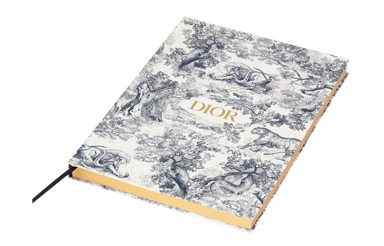 DIOR Dioriviera - изображение 2