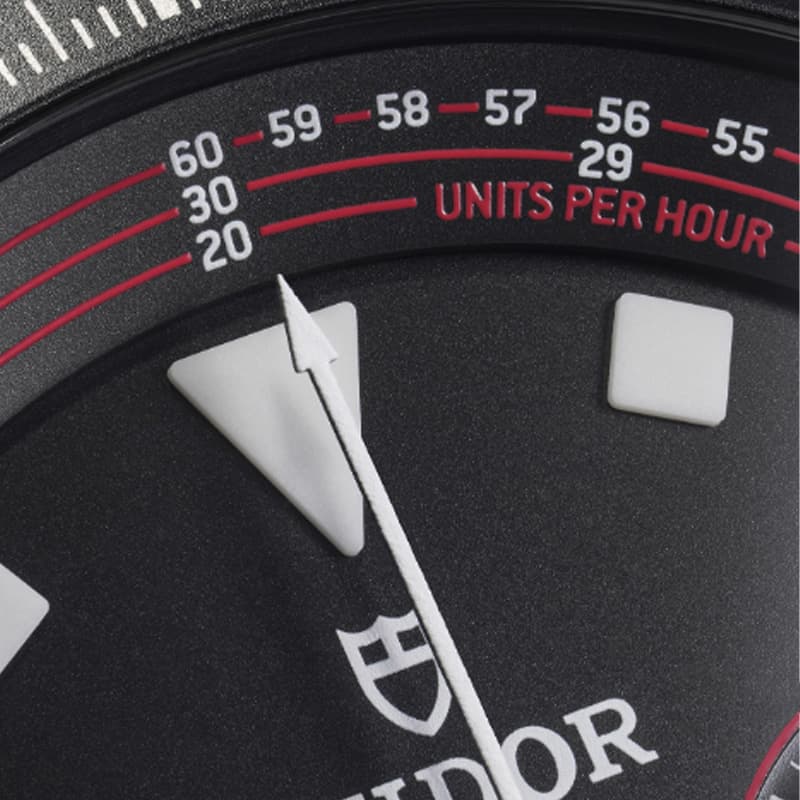 Часы TUDOR 100 43mm - изображение 12