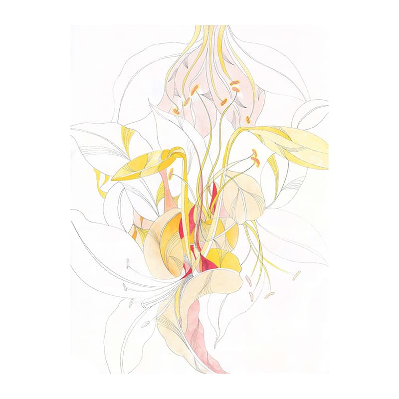 Постер 60*47cm - изображение 2
