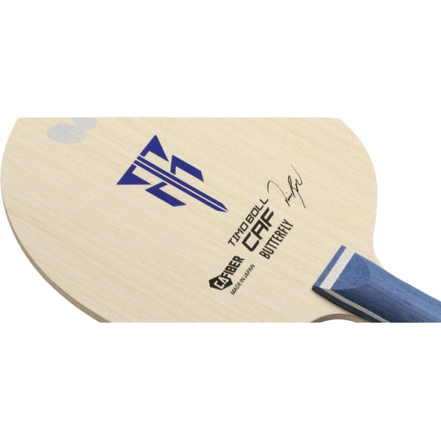 Butterfly TIMO BOLL CAF - изображение 6