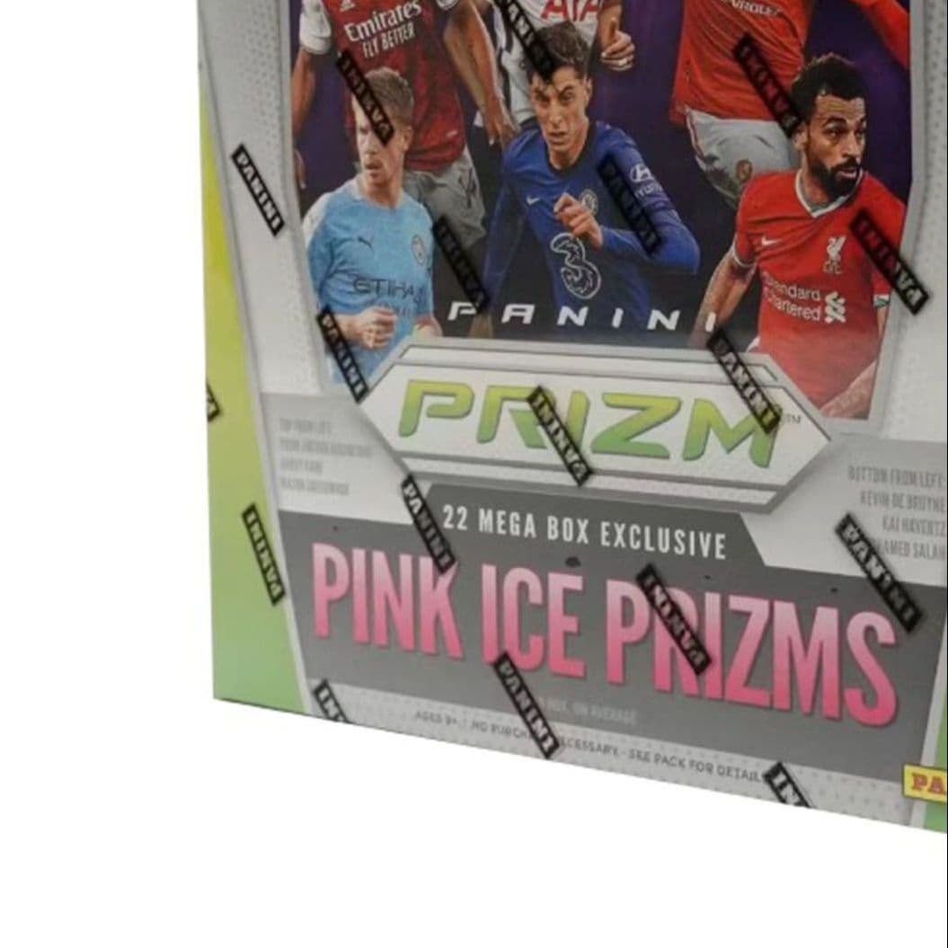 PANINI - изображение 3