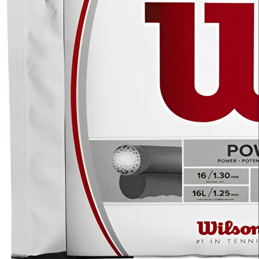 Wilson - изображение 5